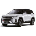 Коврики в салон для SsangYong Torres 2022 –