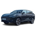 Коврики в салон для MG HS 2024 –