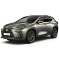 Коврики в салон для Lexus NX (AZ20) 2021 –