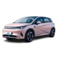 Килимки в салон для BYD Dolphin 2025 –