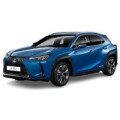 Килимки в салон для Lexus UX 300e 2021 –