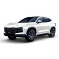 Коврики в салон для Jetour Dashing 2022 –