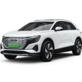 Килимки в салон для Audi Q5 e-tron 2021 –