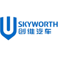Коврики в салон для Skyworth