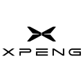 Килимки в салон для Xpeng